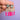 Statement Ohrringe Neonpink – NADJA